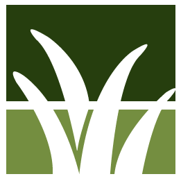 Strive Yard Clean Up