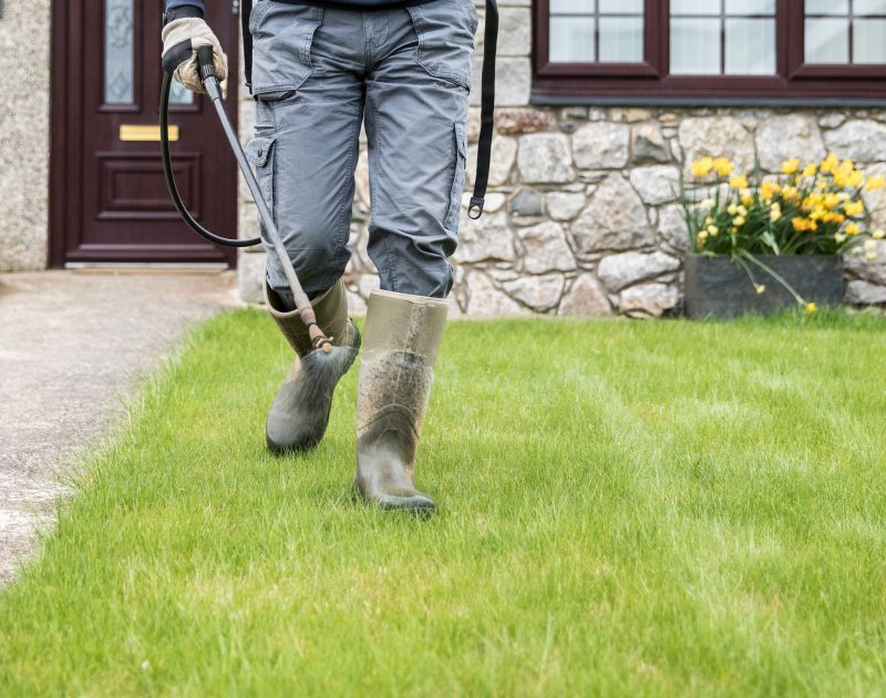 Yard Cleanup Service