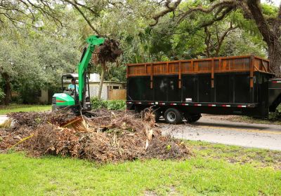 Remove Yard Debris!
